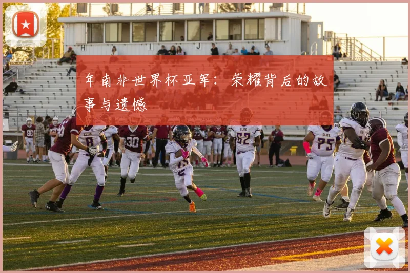 年南非世界杯亚军:荣耀背后的故事与遗憾