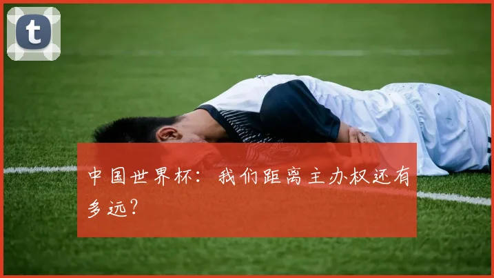 中国世界杯:我们距离主办权还有多远?