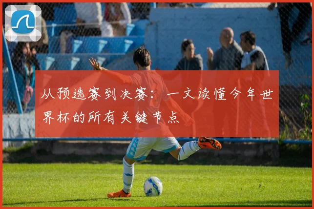 从预选赛到决赛:一文读懂今年世界杯的所有关键节点
