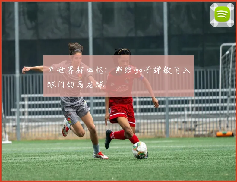年世界杯回忆:那颗如子弹般飞入球门的乌龙球