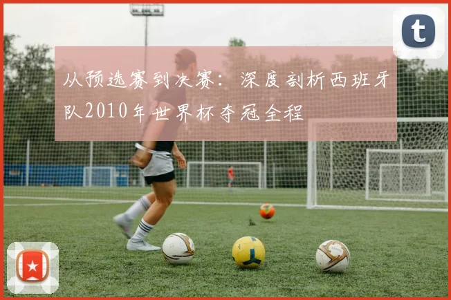 从预选赛到决赛:深度剖析西班牙队2010年世界杯夺冠全程