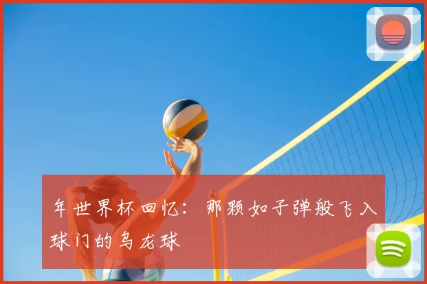 年世界杯回忆：那颗如子弹般飞入球门的乌龙球