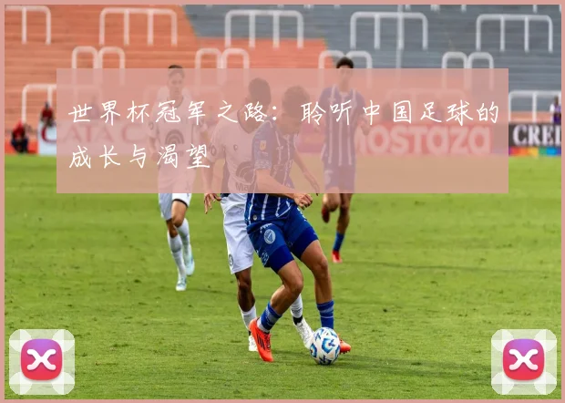 世界杯冠军之路：聆听中国足球的成长与渴望