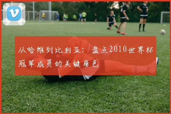从哈维到比利亚：盘点2010世界杯冠军成员的关键角色